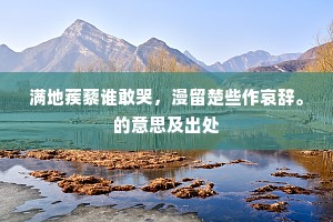 满地蒺藜谁敢哭，漫留楚些作哀辞。的意思及出处