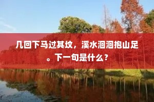 几回下马过其坟，溪水洄洄抱山足。下一句是什么？