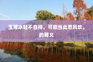 玉薄冰轻不自持，可能当此恶风吹。的释义