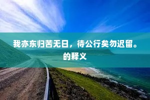 我亦东归苦无日，待公行矣勿迟留。的释义