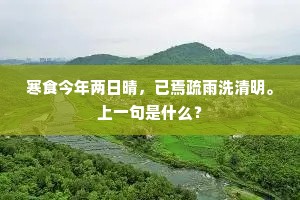 寒食今年两日晴，已焉疏雨洗清明。上一句是什么？