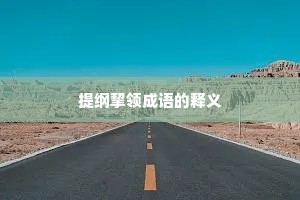提纲挈领成语的释义
