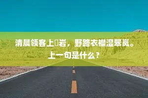 清晨领客上巉岩，野路衣襟湿翠岚。上一句是什么？