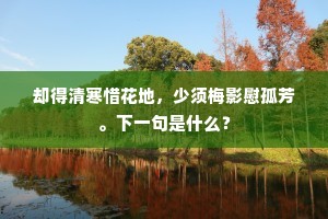 却得清寒惜花地，少须梅影慰孤芳。下一句是什么？