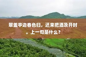 翠盖亭边春色归，还来把酒及开时。上一句是什么？