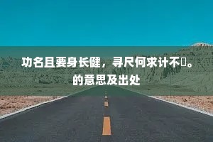功名且要身长健，寻尺何求计不疎。的意思及出处