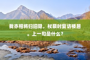 我亦相将归旧隐，杖藜时复访楼居。上一句是什么？