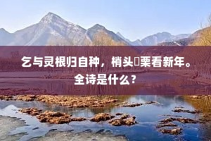 乞与灵根归自种，梢头繭栗看新年。全诗是什么？