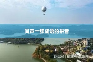 同声一辞成语的拼音