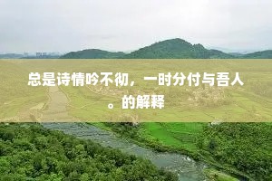 总是诗情吟不彻，一时分付与吾人。的解释