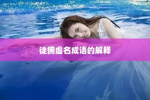 徒拥虚名成语的解释