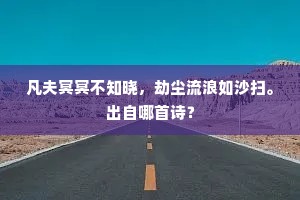 凡夫冥冥不知晓，劫尘流浪如沙扫。出自哪首诗？
