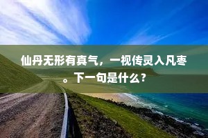 仙丹无形有真气，一视传灵入凡枣。下一句是什么？