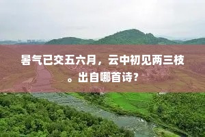 暑气已交五六月，云中初见两三枝。出自哪首诗？