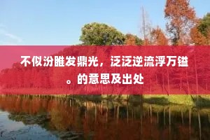 不似汾睢发鼎光，泛泛逆流浮万镒。的意思及出处