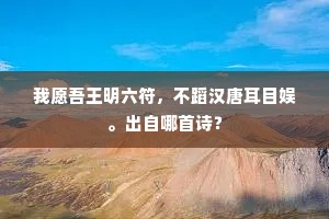 我愿吾王明六符，不蹈汉唐耳目娱。出自哪首诗？