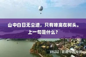 山中白日无尘迹，只有啼禽在树头。上一句是什么？