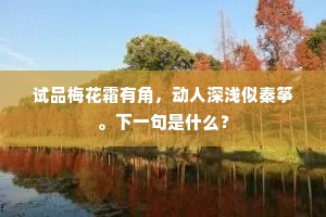 试品梅花霜有角，动人深浅似秦筝。下一句是什么？