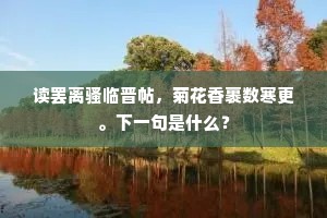 读罢离骚临晋帖，菊花香裹数寒更。下一句是什么？