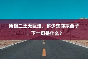 所恨二王无巨法，多少东邻拟西子。下一句是什么？