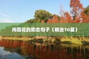 向阳花的励志句子（精选10篇）