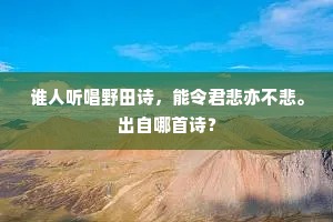 谁人听唱野田诗，能令君悲亦不悲。出自哪首诗？