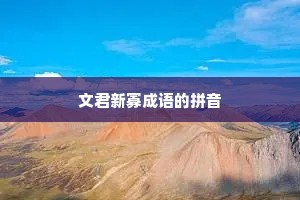 文君新寡成语的拼音