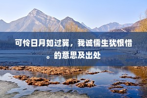 可怜日月如过翼，我诚儒生犹恨惜。的意思及出处