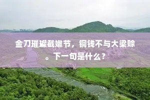 金刀璀璨截嫩节，铜钱不与大梁赊。下一句是什么？
