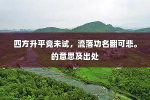 四方升平竟未试，流落功名翻可悲。的意思及出处