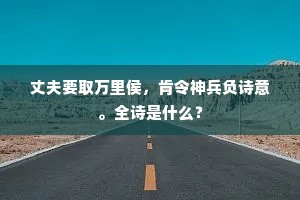 丈夫要取万里侯，肯令神兵负诗意。全诗是什么？