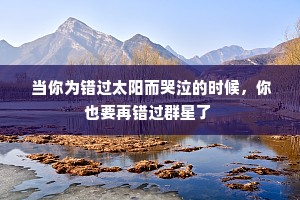  当你为错过太阳而哭泣的时候，你也要再错过群星了 