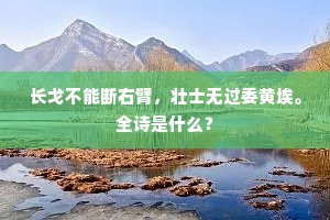 长戈不能断右臂，壮士无过委黄埃。全诗是什么？