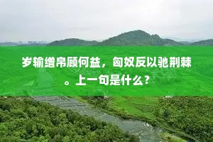 岁输缯帛顾何益，匈奴反以驰荆棘。上一句是什么？