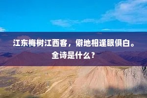江东梅树江西客，僻地相逢眼俱白。全诗是什么？