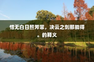 惜无白日照芳菲，决云之剑那能得。的释义