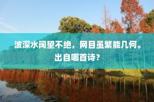 波深水阔望不绝，网目虽繁能几何。出自哪首诗？