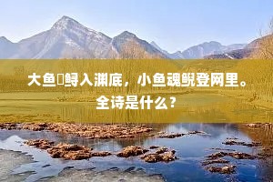 大鱼鳣鲟入渊底，小鱼魂鲵登网里。全诗是什么？
