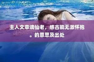 主人文章谪仙老，感古能无激怀抱。的意思及出处