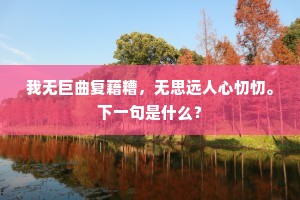 我无巨曲复藉糟，无思远人心忉忉。下一句是什么？