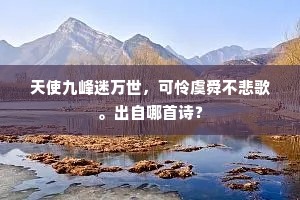 天使九峰迷万世，可怜虞舜不悲歌。出自哪首诗？
