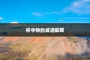 杯中物的成语解释