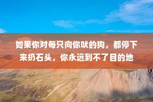 如果你对每只向你吠的狗，都停下来扔石头，你永远到不了目的地