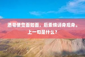 洒毫便觉面如面，后素倏讶身观身。上一句是什么？