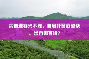 病僧迎客兴不浅，自启轩窗煎越茶。出自哪首诗？