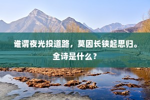 谁谓夜光投道路，莫因长铗起思归。全诗是什么？
