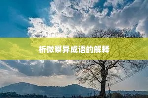 析微察异成语的解释