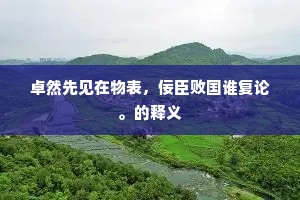 卓然先见在物表，佞臣败国谁复论。的释义
