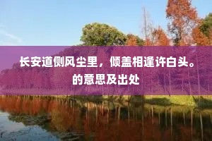 长安道侧风尘里，倾盖相逢许白头。的意思及出处