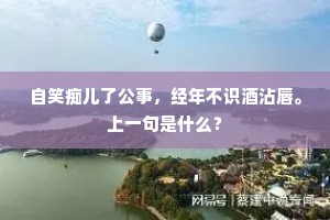 自笑痴儿了公事，经年不识酒沾唇。上一句是什么？